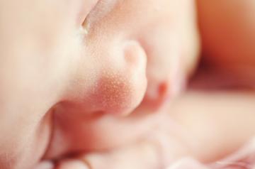US births fall to 35-year low