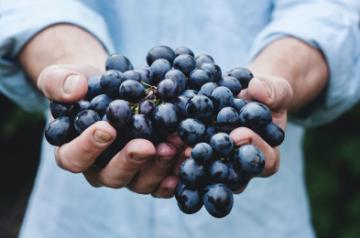 Berries are powerhouse of antioxidants