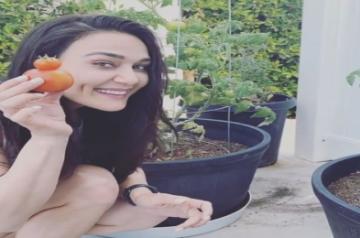 Preity Zinta