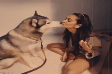 Kriti bakes birthday cake for PulkitÃ¢ÂÂs pet Drogo.