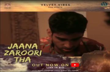 Tejas Gambhir's new song 'Jaana Zaroori tha' raises mental health awareness.