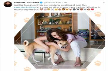 World Animal Day: Madhuri, husband extend support to furry friends