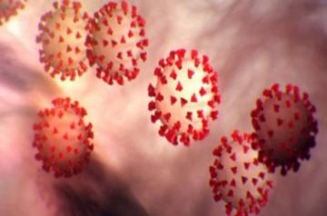 Veteran artiste Pradip Ghosh passes away after testing positive for Covid