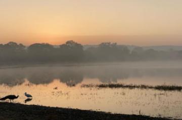 Ranveer Singh shares first picture from Ranthambore