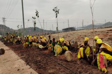 Ajay Devgan takes part in plantation programme in Hyderabad