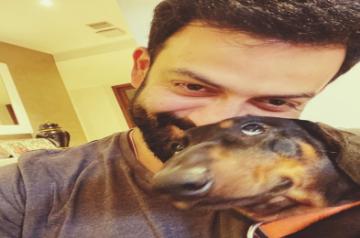 Prithviraj's pet dog has an 'eye' for wonky photo-op! (credit: Instagram)