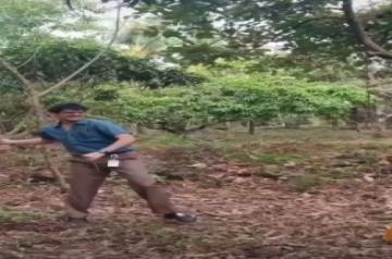 When Vijay Varma hit 'Nature Boy' mode.