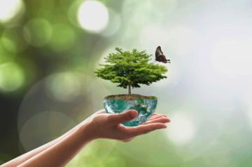 Pratik Gandhi, Malika Arora among celebs backing awareness drive on World Environment Day