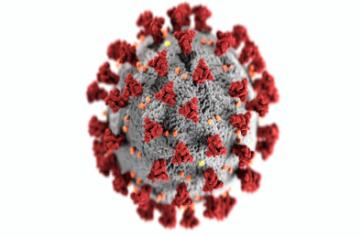 coronavirus.