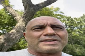 Joe Rogan.