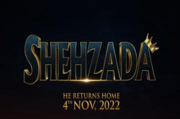 Kartik Aaryan shehzada.