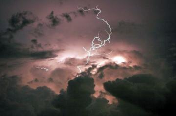 Heavy rains continue to lash MP, 1 dead in lightning strike