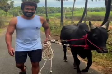 Suriya extends Tamil New year greetings even as he walks his bull thrills fans