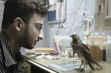 Shaunak Sen's 'All That Breathes' wins best documentary trophy at Cannes