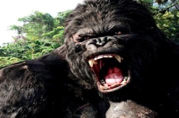 Live-action 'King Kong' origin series in early development.