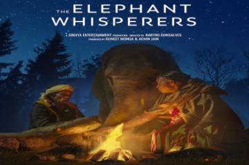 Elephant whisperer