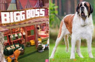 'Bigg Boss 16': New member enters the house