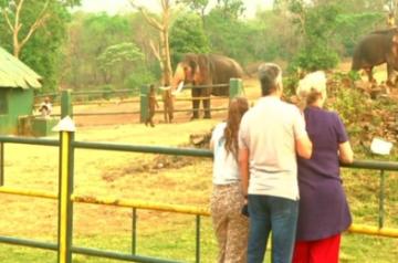 Tourists flock to TN elephant camp after 'The Elephant Whisperers' wins Oscar.(photo:IN)