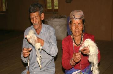 Traditional Craft-Spinning