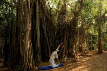 Yoga for monsoon wellness and immunity